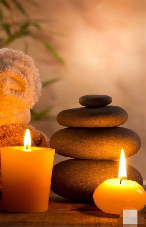 Wellness Massage Body Massage Spa Stone Massage Wellness Spa Massage Art Cupping Massage