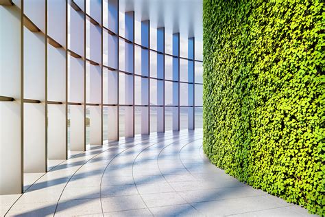 Biophilic Design A ‘second Nature Into The Office Space Total Office