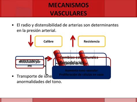 Ppt HipertensiÓn Arterial Powerpoint Presentation Free Download Id