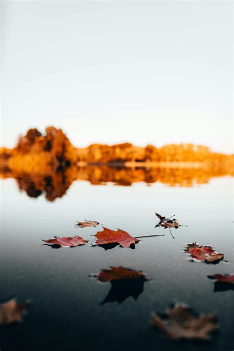 Foto De Stock Gratuita Sobre Agua Al Aire Libre Amanecer