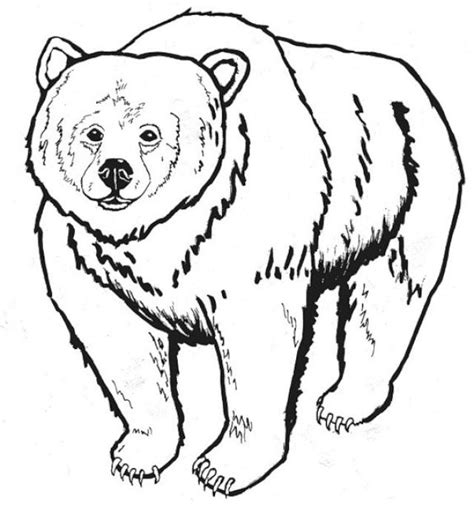 Dessin Ours #12244 (Animaux) à colorier – Coloriages à imprimer