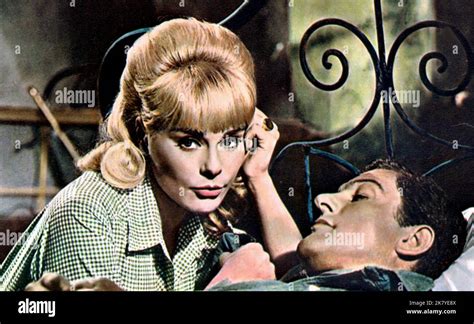 Elke Sommer And Dick Van Dyke Film The Art Of Love 1962 Characters Nikki And Paul Sloane