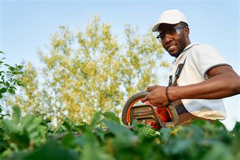 Black Voices In Landscaping An Interview With A Landscaping Business