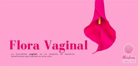 Flora Vaginal Qué es la flora vaginal y que función tiene
