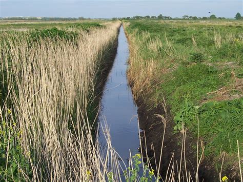 Managing Ditches For Farming And Conservation The Carrs Wetland Project