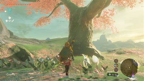 All Cherry Blossom Tree Locations And Directions Tears Of The Kingdom Totk
