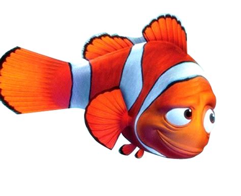Mamá Decoradora Nemo Png Descarga Gratis