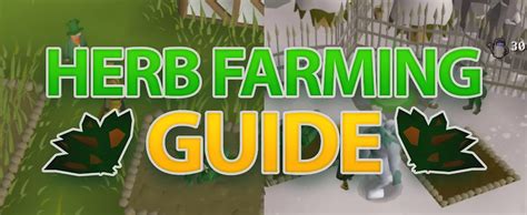 The Ultimate Herb Farming Guide For Osrs