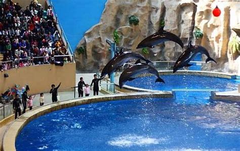 Beijing Zoo and Aquarium - Beijing Travel Guide