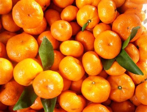 Chinese Oranges To Reach Moscow Through Cold Chain Train