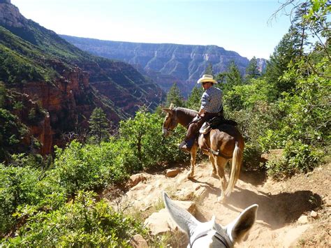 The 10 Best United States Horseback Riding Tours Updated 2023