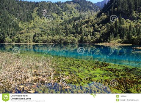 Colorful Lake In Jiuzhaigou National Park Of Sichuan China Stock Image