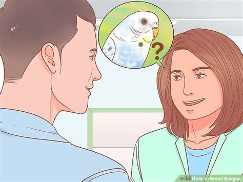 How To Breed Budgies With Pictures Wikihow