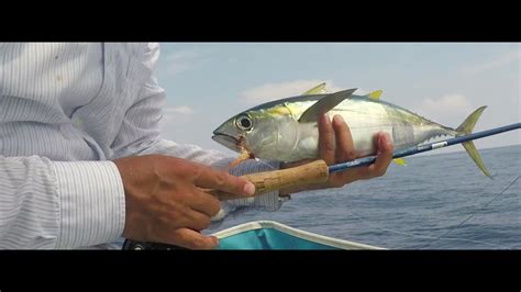 Saltwater Fly Fishing Moldy Chum