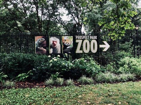 Visiting Prospect Park Zoo And Tips Everything You Need To Know Your