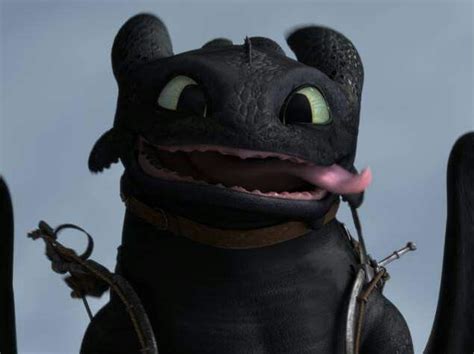 toothless  train  dragon toothless wallpaper
