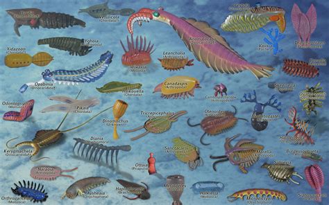 Top 187 Cambrian Period Animals