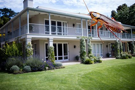 Spiders and insects are attracted to homes because bricks, wood siding, landscaping timbers, mulch beds, and woodpiles imitate the natural. General Pest Control - EXTERMAPEST