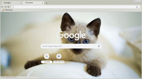 Another Kitten Theme Chrome Theme Themebeta