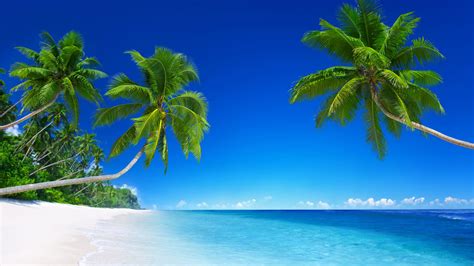 Tropical Beach Paradise 5k Wallpapers Hd Wallpapers Id