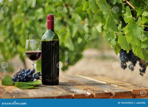 Still Life Of A Red Wine Bottle Glass And Grape Strain Stock Image