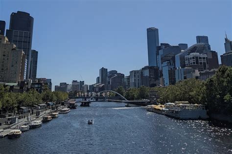 These Swimmers Plunge Into The Yarra River In Inner