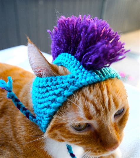 Mohawk Cat Hat Aqua And Purple Hand Knit Cat By Bitchknits Crochet