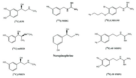 Chemical Structures Of The Norepinephrine And Its Radiolabeled