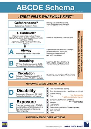 Flashcards in (c) abcde schema deck (10). Downloads - IGNI