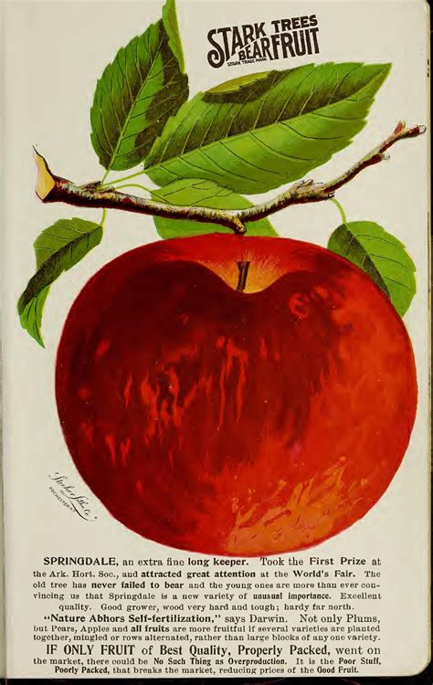 Stark Bros Nurseries And Orchards Co Stark Fruit Book131 First Prize