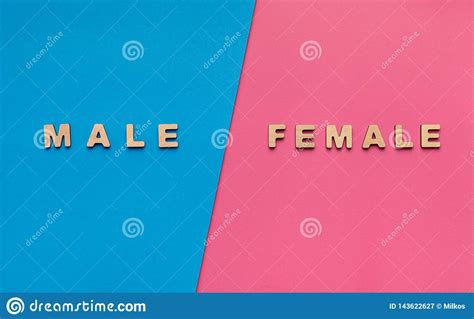 Word Female On Pink And Blue Background Stock Image Image Of