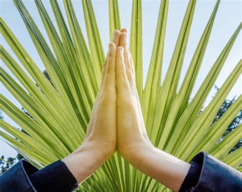 Namaste Hands Stock Photos Pictures And Royalty Free Images Istock