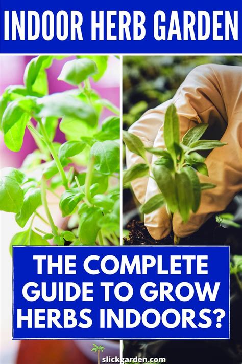 Indoor Herb Garden The Complete Guide To Grow Herbs Indoors