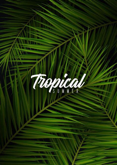 Tropical Palm Leaves Exotic Palms Tree Dark Floral Backgrounds Stock