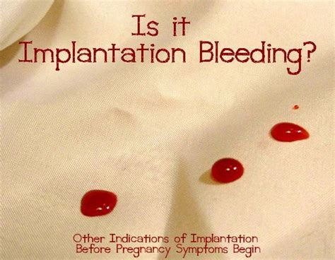 Signs Of Implantation Bleeding Carefully Plan