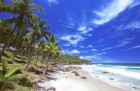 The Most Beautiful Beaches In Bahia