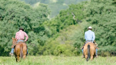 Annual forbs and grasses, perennial forbs and grasses. FAQs | Conservation Easements | CA Rangeland Trust