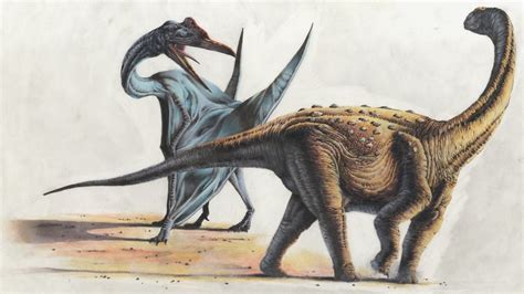 Quetzalcoatlus Pictures And Facts The Dinosaur Database