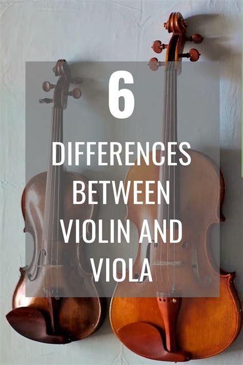 6 Differences Between A Viola And Violin Orchestra Central Violin
