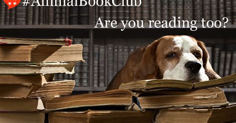 This book club recommendations list contains old and new books of various genres that i think have wide appeal and provide compelling discussion topics for your book club. Companion Animal Psychology Book Club: March 2017