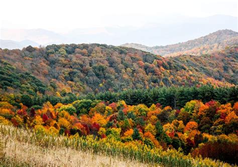 2022 Ultimate Smoky Mountain Fall Foliage Map Guide 2022