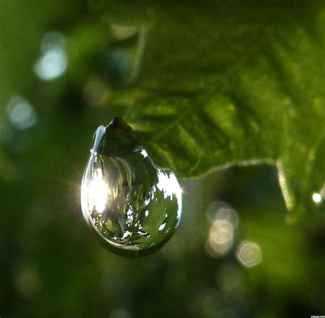 20 Amazing Pictures Of Rain Drops Incredible Snaps