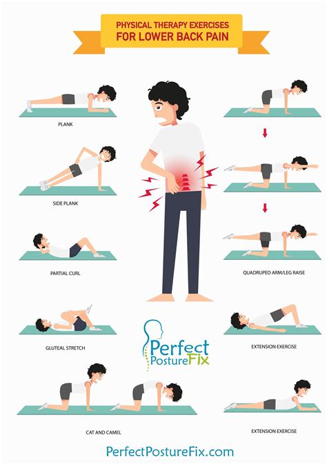 Pin On How To Fix Lower Back Pain