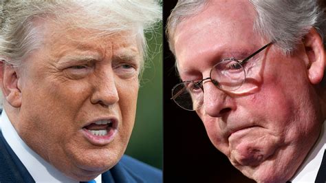 Anti Trump Republican Senators Can Fight Gop Or Help Biden Fix America