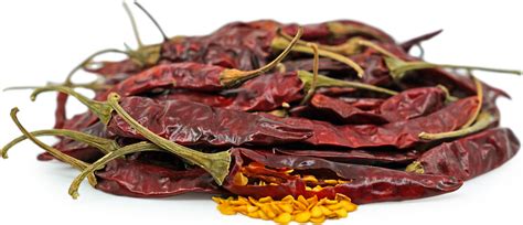 Dried Arbol Chile Peppers Information Recipes And Facts