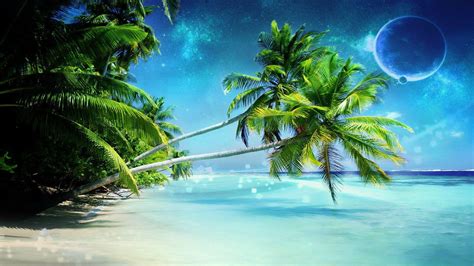 Palm Tree On Paradise Beach Wallpaper Download Hd