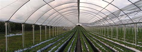 These crops are categorized and ranked based on how profitable they are. High Tunnel Crop Protector | Commercial Greenhouse ...
