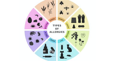 What Are The Different Types Of Allergies