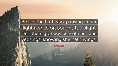 Victor Hugo Quote “be Like The Bird Who Pausing In Her Flight Awhile