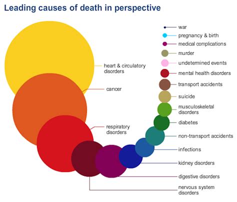 The Things Most Likely To Kill You In One Infographic Business Insider